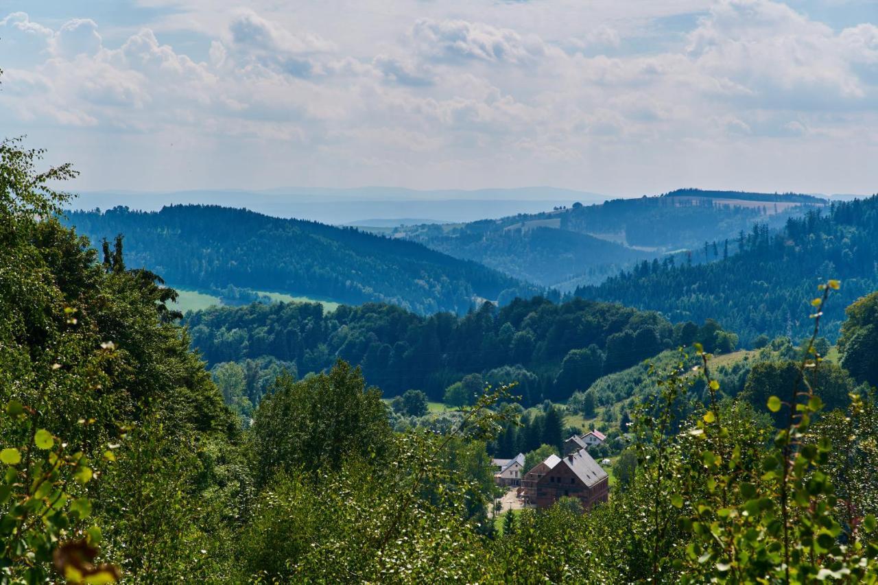 Ten Dom W Ludwikowicach Klodzkich Ludwikowice Kłodzkie Eksteriør bilde